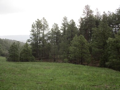 33089 Lodgepole Trace, Trinidad, CO 81082 - photo 4