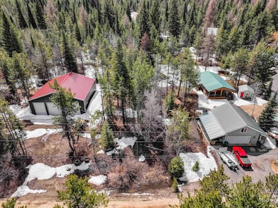 203 Wagon Wheel Ln, Donnelly, ID 83615 - photo 3