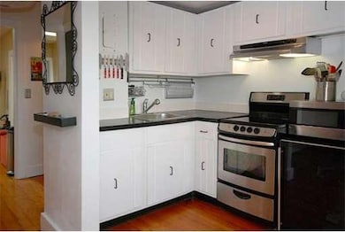 334 Tappan St unit 5, Brookline, MA 02445 - photo 2