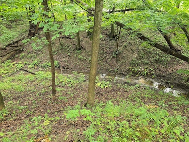 vl Lehring Rd, Durand, MI 48429 - photo 5