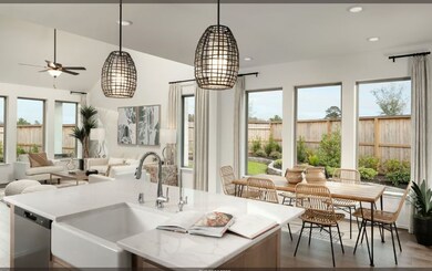 1180 Wandering Brook St, Magnolia, TX 77354 - photo 3