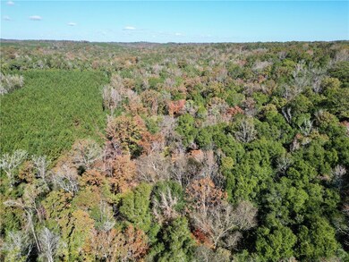 0 Highway 82 N, Eufaula, AL 36027 - photo 7