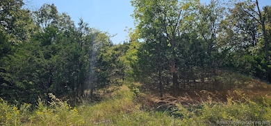 00000 E 994 Rd, Redbird Smith, OK 74435 - photo 4