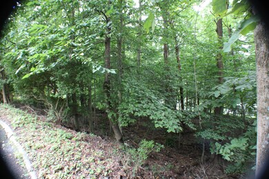 IMG_8033