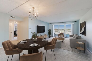 370 S Western Ave unit 505, Des Plaines, IL 60016 - photo 6