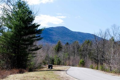 Lot 106 Grandview Rd unit 106, Conway, NH 03818 - photo 4