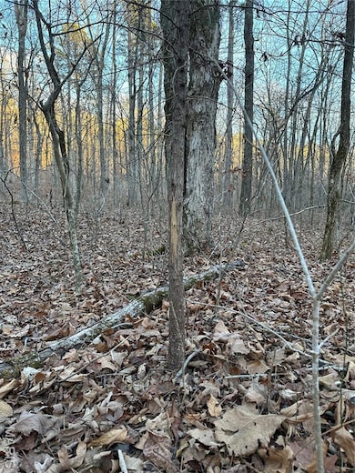 TBD County Road 426, Epps Township, MO 63901 - photo 5