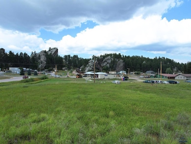 TBD Wazi Ln unit Just of Hwy 16W, Custer, SD 57730 - photo 6