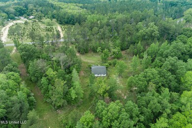 0 13 + - Ac Basin Central Rd, Lucedale, MS 39452 - photo 4