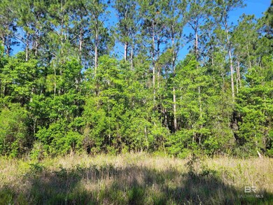 0 Bellingrath Rd unit 374430, Theodore, AL 36582 - photo 5