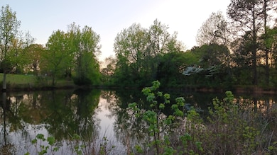 0 Cannady Mill Rd, Franklinton, NC 27525 - photo 2