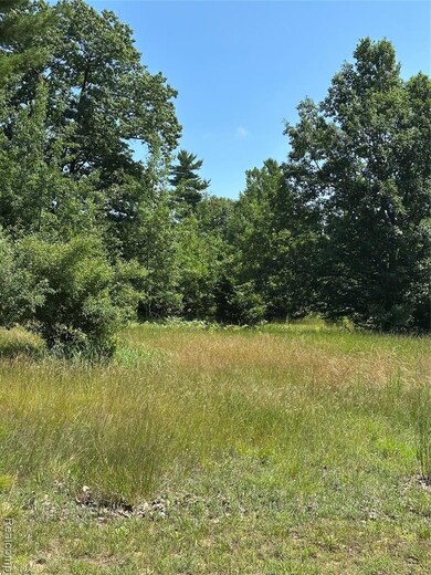 77 E Starlight Ridge Cir, Onekama Township, MI 49675 - photo 6