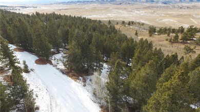 1140 Caracara Ln, Como, CO 80432 - photo 4