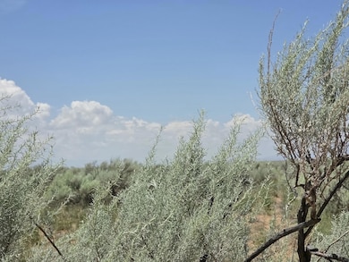 VL Rge Lot 27 Block 360 unit 17, Rio Communities, NM 87002 - photo 5