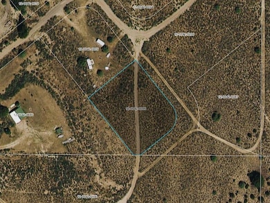 Google Earth Approx Outline