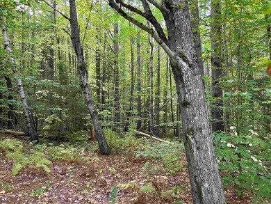 NH New Hampshire Route 175, Thornton, NH 03223 - photo 7