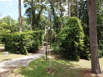 2.21 Acres N Nellius St, Woodville, TX 75979 - photo 3