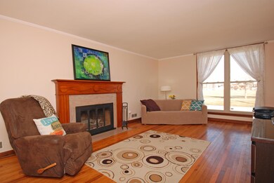 Living Room - Family Room