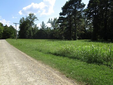 224 Old Poplar School Rd, Prospect, TN 38477 - photo 7