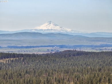 0 Nka Tyler Rd, Goldendale, WA 98620 - photo 3