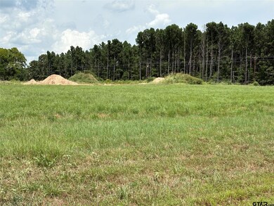 unlisted-address, Yantis, TX 75497 - photo 6