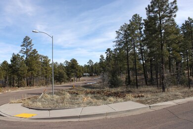 200 W Pine Haven Cir, Show Low, AZ 85901 - photo 6