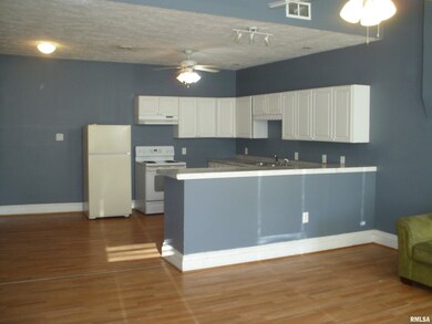 117 E Springfield St, Virginia, IL 62691 - photo 3