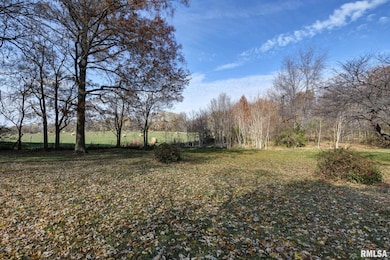 203 Lincoln Ave, Owaneco, IL 62555 - photo 3