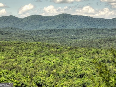 330 Serenity Ridge Ln, Mineral Bluff, GA 30559 - photo 7