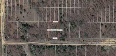 1710 Peaceful Hollow Dr, Horseshoe Bend, AR 72512 - photo 6