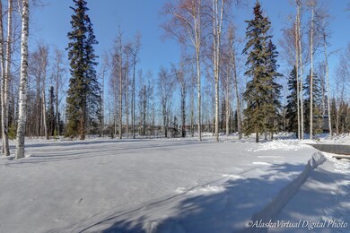 14446 Norcross St, Big Lake, AK 99652 - photo 3