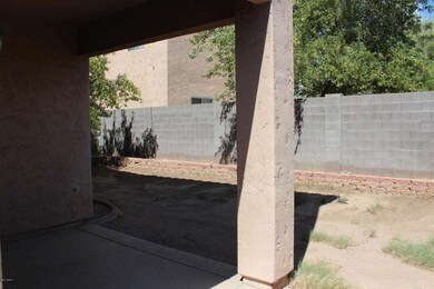 Backyard01