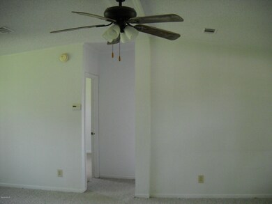 Large ceiling fans