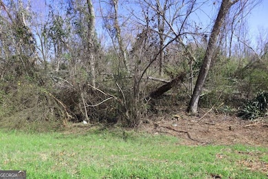 Lt.1 Harrison-Davisboro Rd unit 1, Davisboro, GA 31018 - photo 3