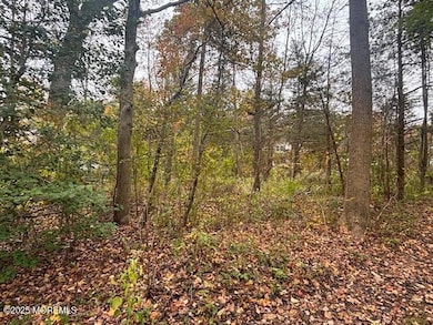 23 Kuzyk Rd, Plumsted, NJ 08514 - photo 7