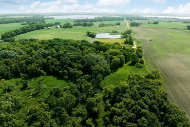 Heavily treed and also flat grass areas.