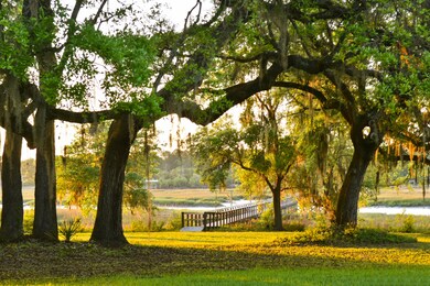 4420 Wando Farms Rd, Awendaw, SC 29429 - photo 2