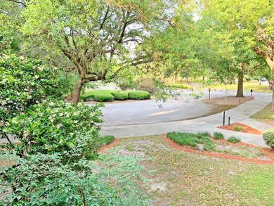 Front Yard View