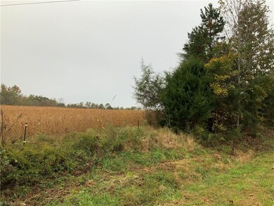 4955 Waynick Meadow Rd, Asheboro, NC 27205 - photo 5