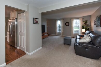 3041 Lodge Dr, North Royalton, OH 44133 - photo 7