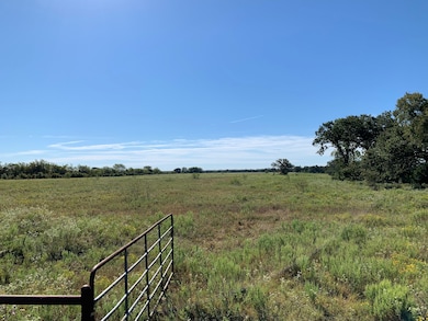 133 ac Hwy 39, Normangee, TX 77871 - photo 4