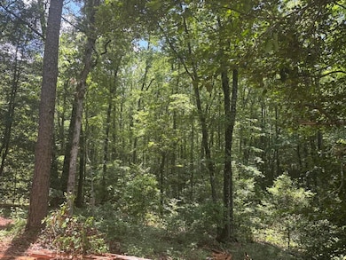 5301 Mt Pleasant Church Rd, Macon, GA 31216 - photo 2