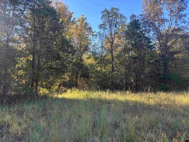 677319890006773 Timbercrest Rd, Viola, AR 72583 - photo 7