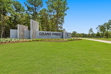 24864 King Palm Trace, Magnolia, TX 77355 - photo 6