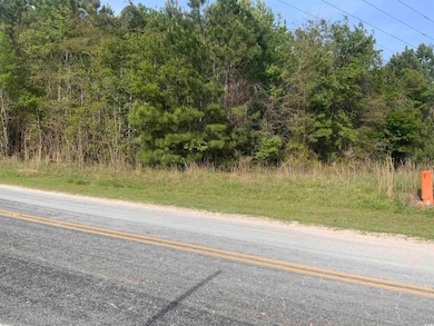 TBD McNeil Chapel Rd, Loris, SC 29569 - photo 4