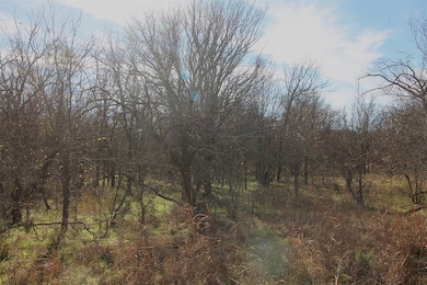 Lot 21 Cheyenne Dr, Bridgeport, TX 76426 - photo 5