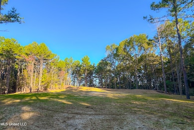 0 Mount Leopard Rd, Flora, MS 39071 - photo 7