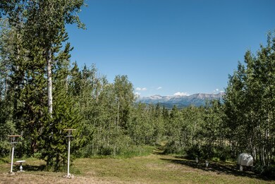 View in Front Yard