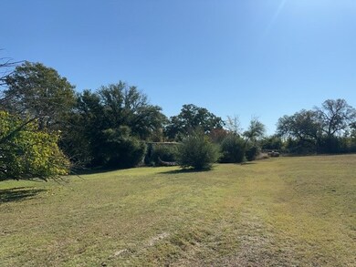 6100 Black Leaf Ct, Fort Worth, TX 76135 - photo 7