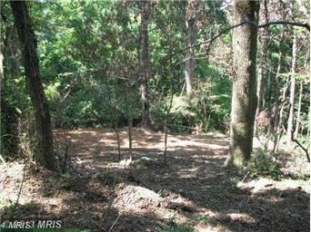 518 Bragg Dr, Front Royal, VA 22630 - photo 2